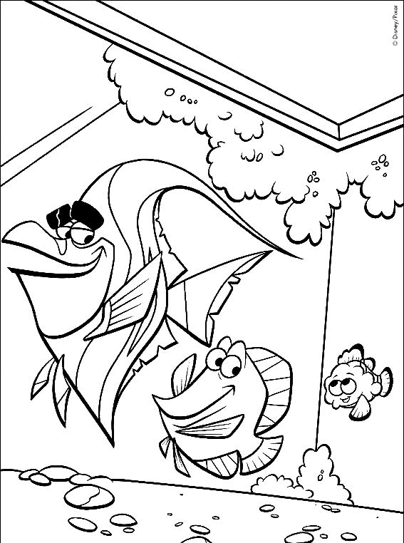 coloriage nemo et ses amis les poissons